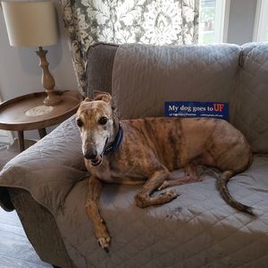 Meet your Posher, Beverly